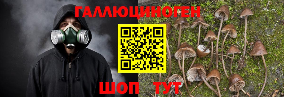 Псилоцибиновые грибы ЛСД  Псилоцибиновые грибы ЛСД  Вход с VPN  Железногорск 